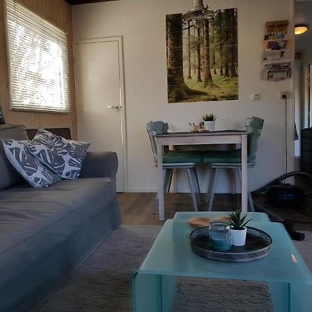 Rijs Chalet Gaasterland Bos-Ijsselmeer 4 Pers. מראה חיצוני תמונה